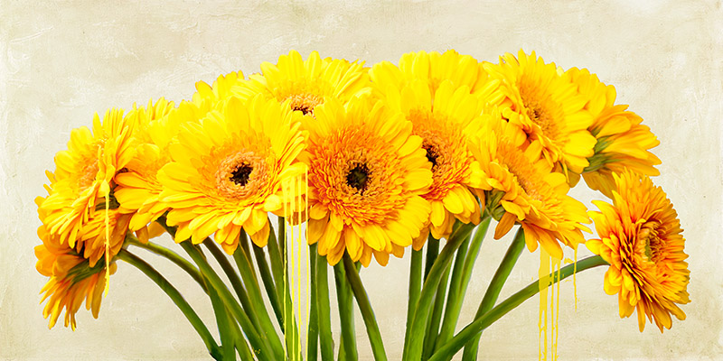 Gerbera Abstraction Alex Vinci Arte Contemporanea Floreali 2 Rettangolo Classico 2av3046 Alfieriarte Alfieriarte