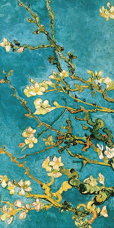 Mandorlo In Fiore I Vincent Van Gogh Museo Van Gogh 2 Rettangolo Classico 2vg1548 Alfieriarte Alfieriarte