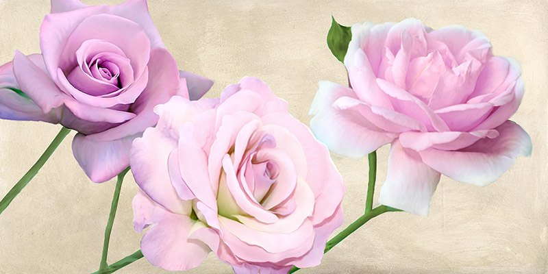 Rose Classiche Serena Biffi Arte Contemporanea Floreali 2 Rettangolo Classico 2se3045 Alfieriarte Alfieriarte