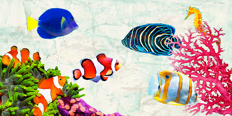 Tropical People Teo Rizzardi Arte Contemporanea Decorativi 2 Rettangolo Classico 2tr2414 Alfieriarte Alfieriarte